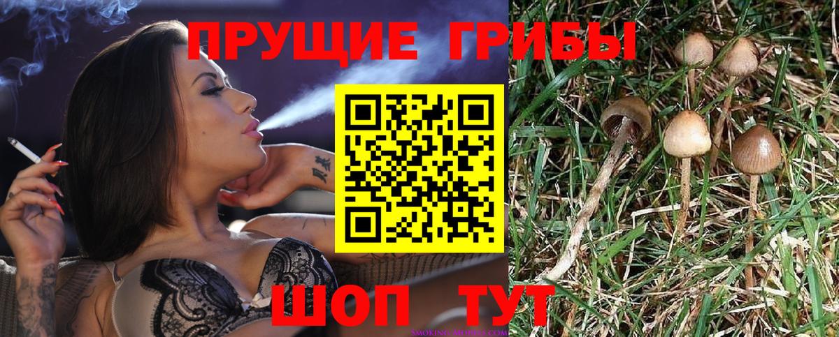 Галлюциногенные грибы MAGIC MUSHROOMS Железноводск